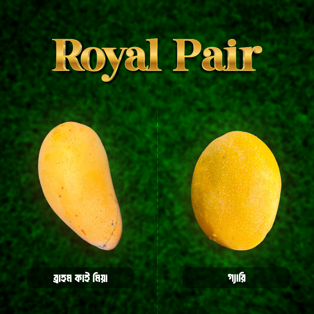 Royal Pair (Gary + Brahm Kai Mea) product image